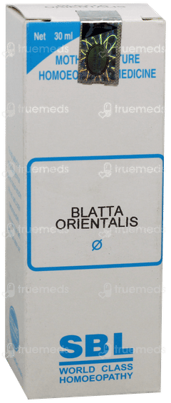 Sbl Blatta Orientalis Q Mother Tincture 30Ml